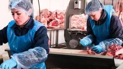 Лиманская мясная продукция реализуется на месте и поставляется в разные регионы 