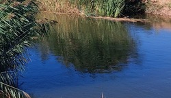 Произошла трагедия на водоёме Лиманского района